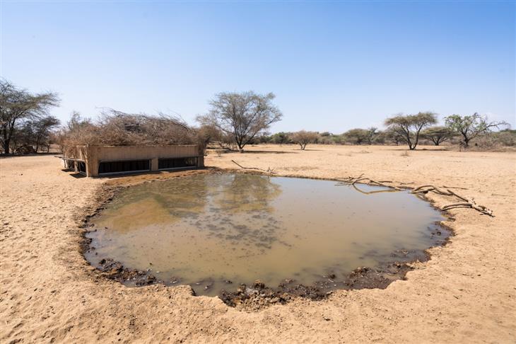 Will Burrard-Lucas Shomphole Wilderness Camp Project watering hole