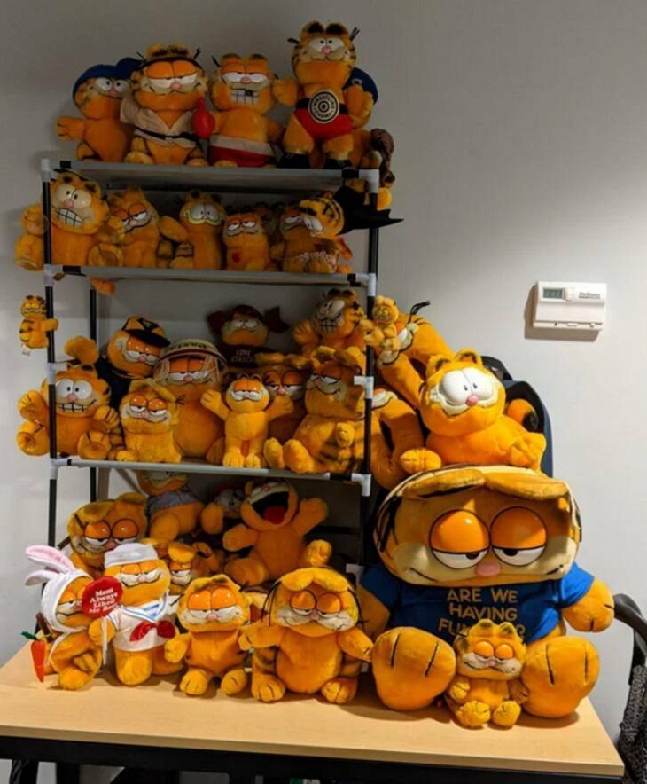 STRANGEST Collections, Garfield 
