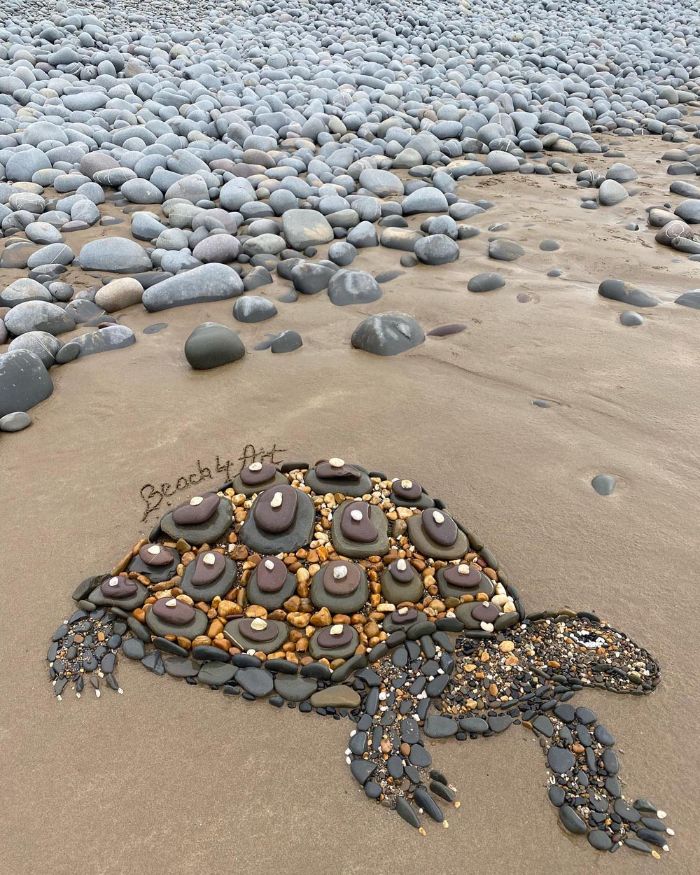 Beach4Art - tortoise