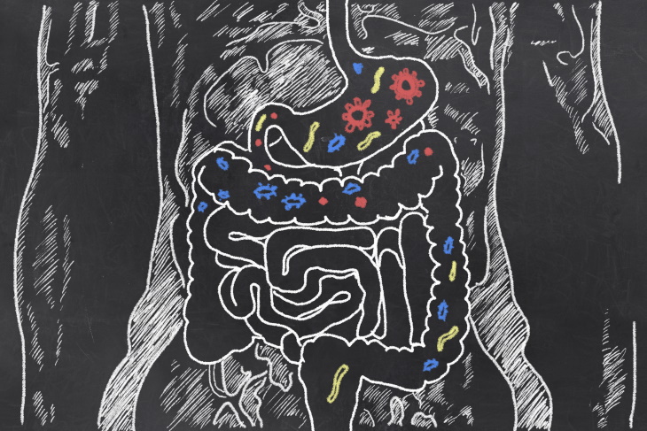 Gut Bacterium & Rheumatoid Arthritis microbiome