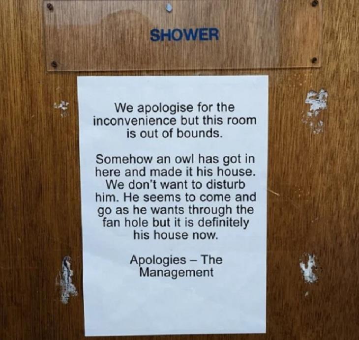 FUNNIEST Disclaimers, shower