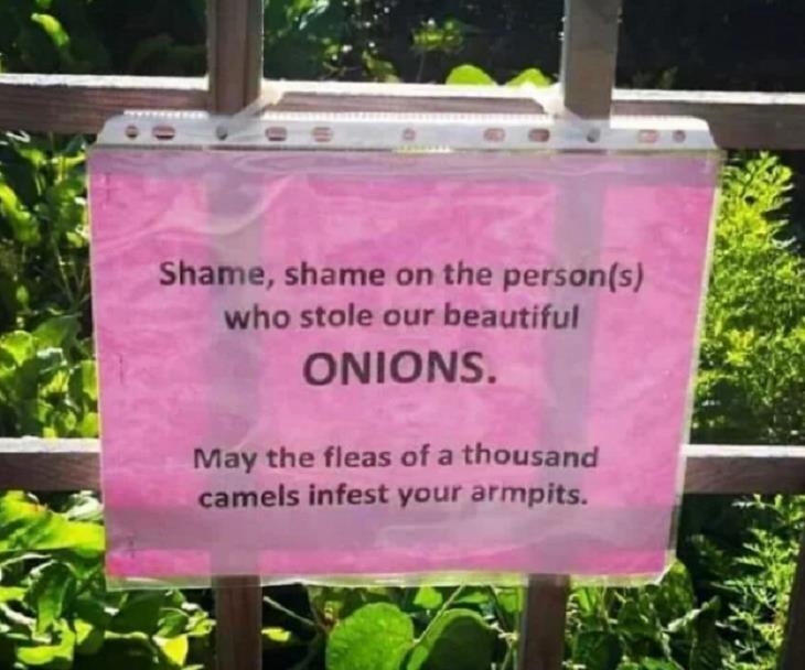 FUNNIEST Disclaimers, onions