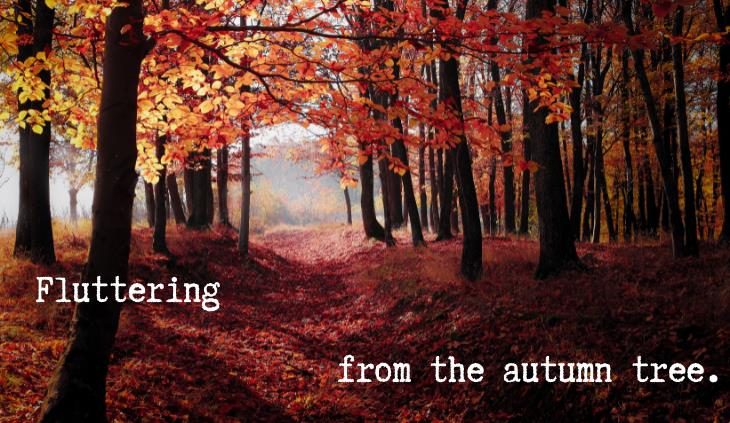 Fall, Leaves, Fall by Emily Brontë - Fluttering from the autumn tree.