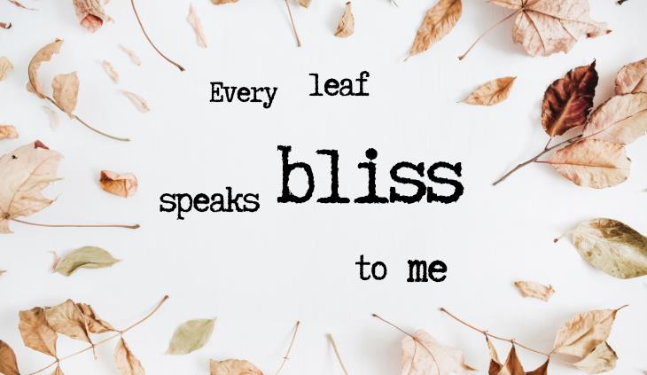 Fall, Leaves, Fall by Emily Brontë - Every leaf speaks bliss to me