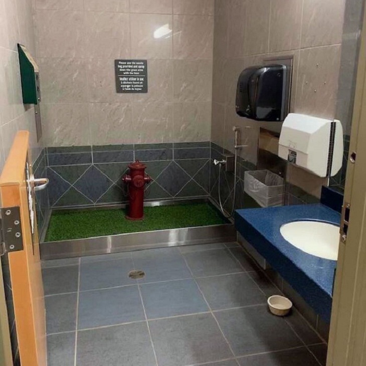 Canadian Things, service dog bathroom