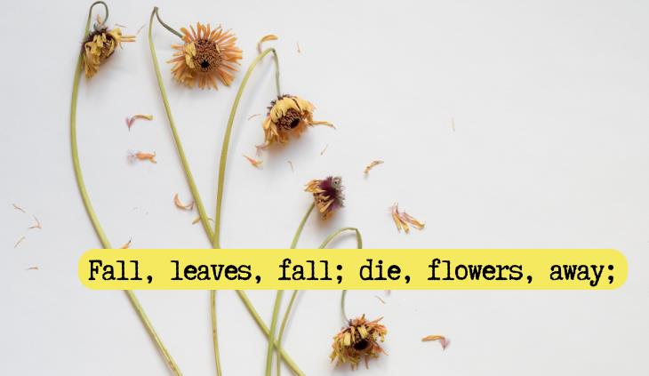 Fall, Leaves, Fall by Emily Brontë - Fall, leaves, fall; die, flowers, away;
