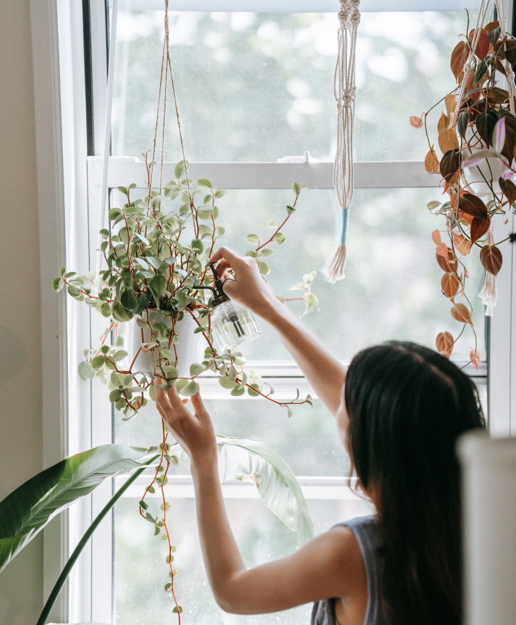 Hanging Garden Ideas Living Curtains