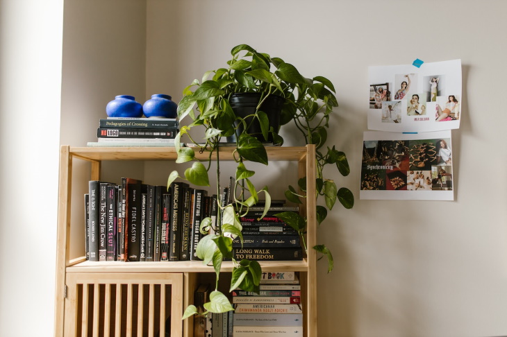 Hanging Garden Ideas Display Plants on Shelves