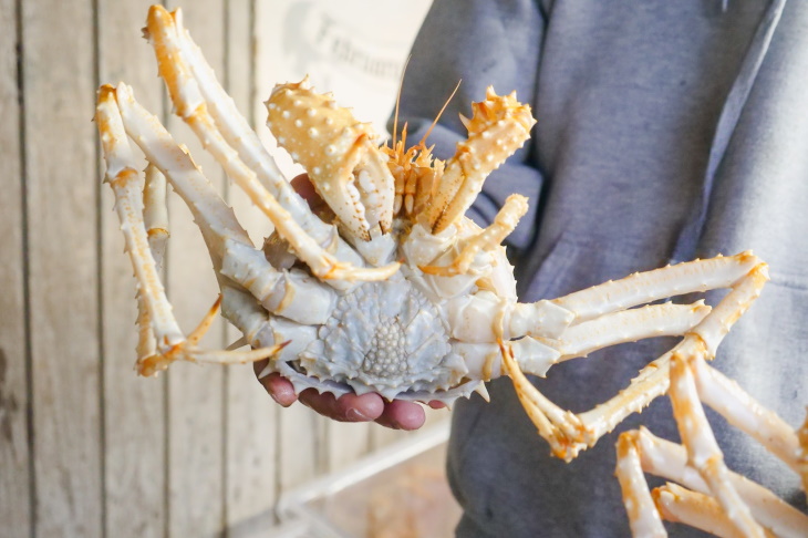 Misnomers King Crabs