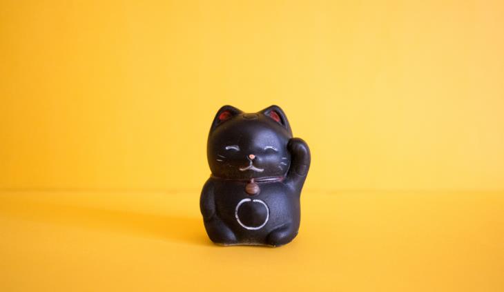 Gato preto da sorte japonês