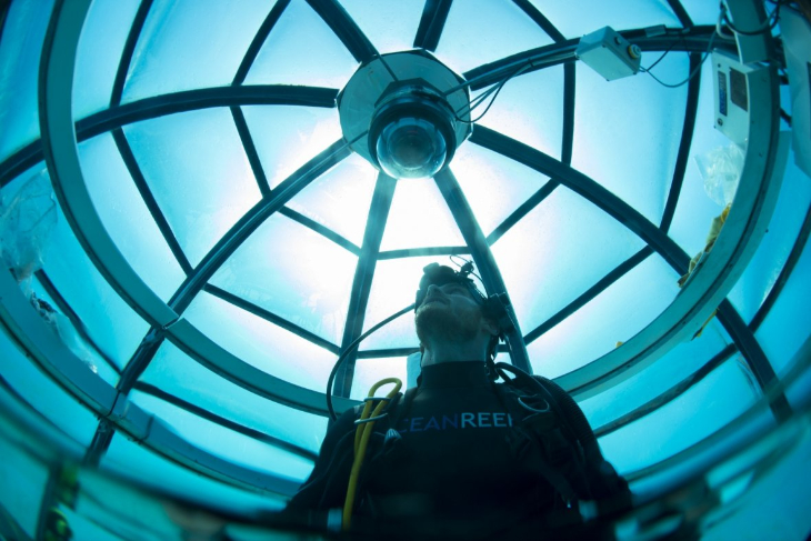 Nemo's Garden - Inside the bubble pod