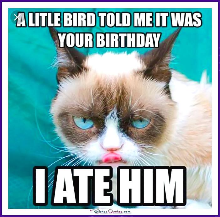 funny happy birthday meme