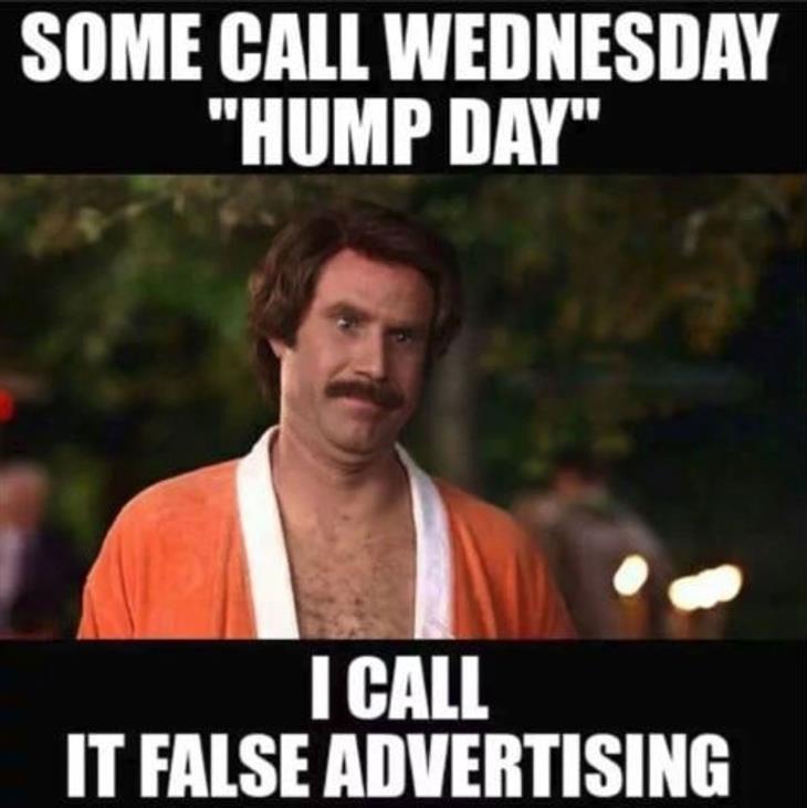 funny hump day meme