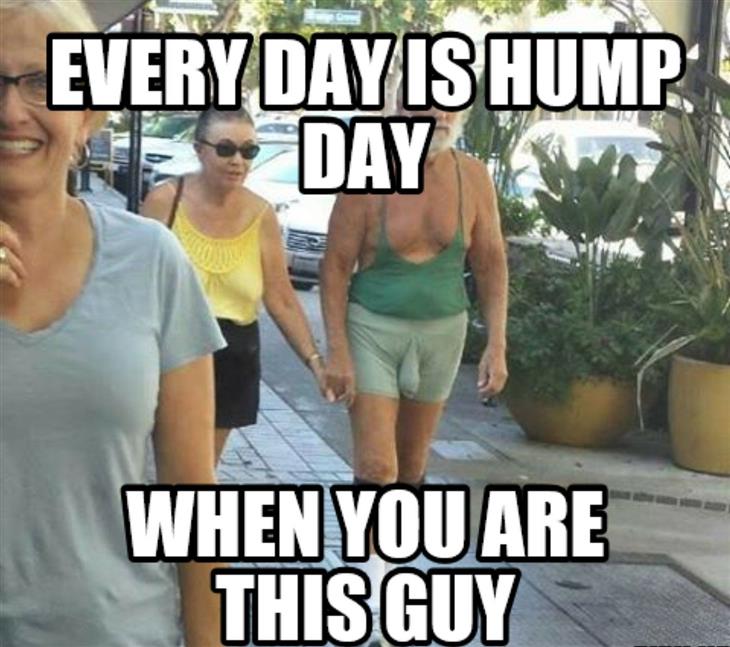 funny hump day meme