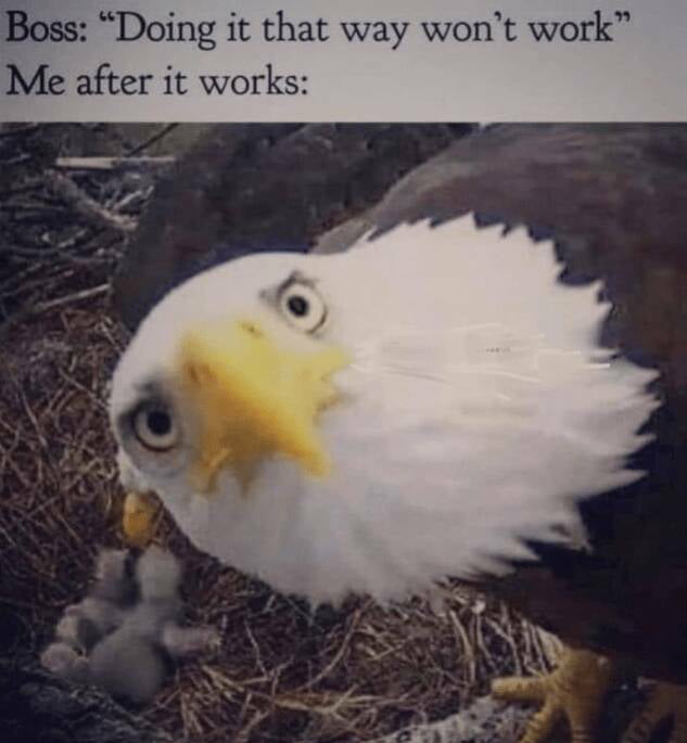 Funny work meme