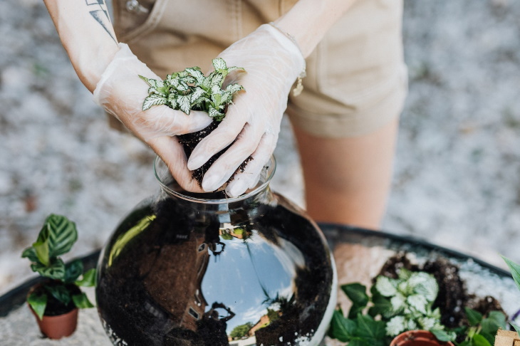 DIY Glass Terrarium add plants