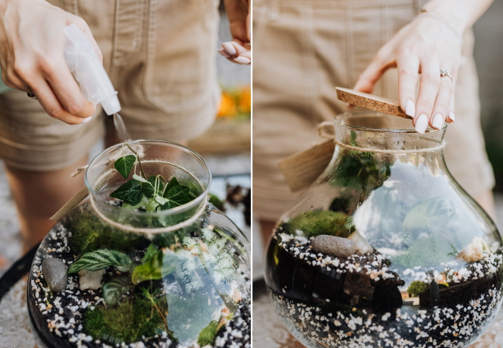 DIY Glass Terrarium final steps