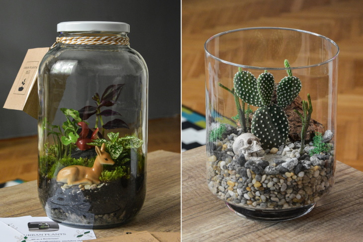 DIY Glass Terrarium examples