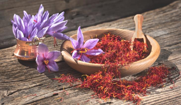 Growing saffron - saffron flowers and spice 
