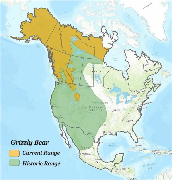 Fun Maps grizzly bears