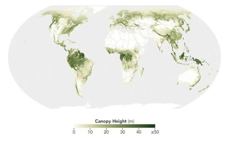 Fun Maps greenest forest areas across the world
