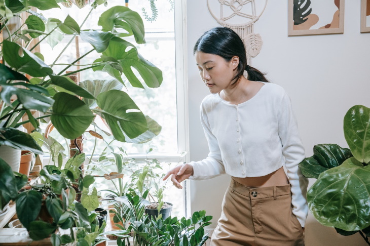 Living Room Plants woman among houseplants