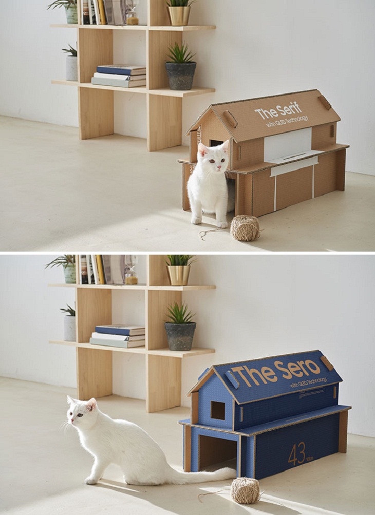Pet Inventions, TV boxes