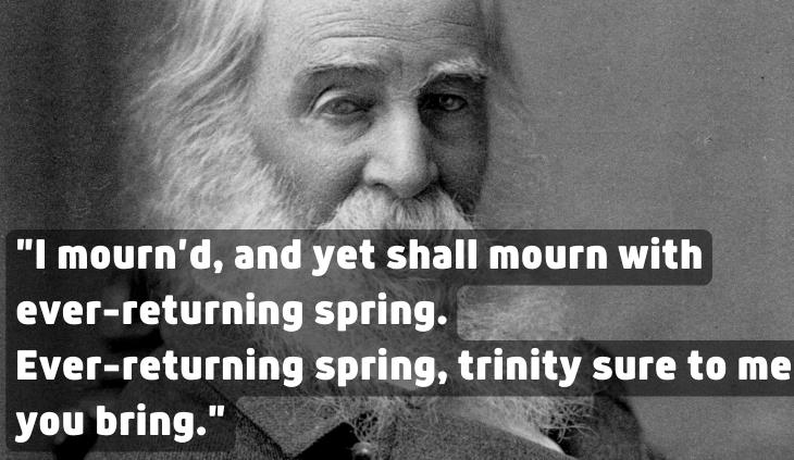 Walt Whitman quotes - I mourned