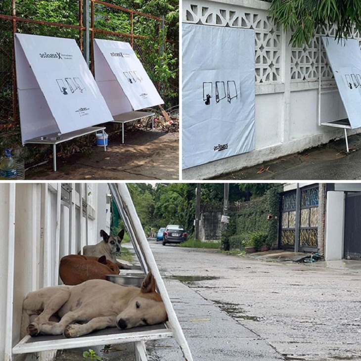 Pet Inventions, foldable shelters