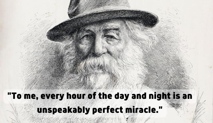 Walt Whitman quotes - miracle quote