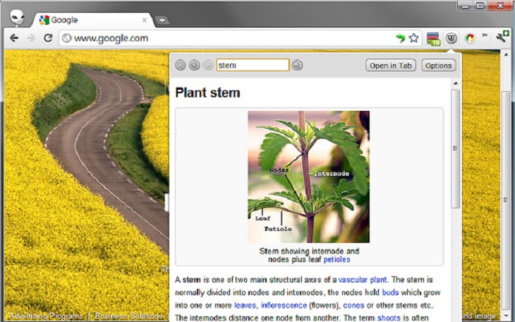 Chrome Extensions, Lookup Companion for Wikipedia 