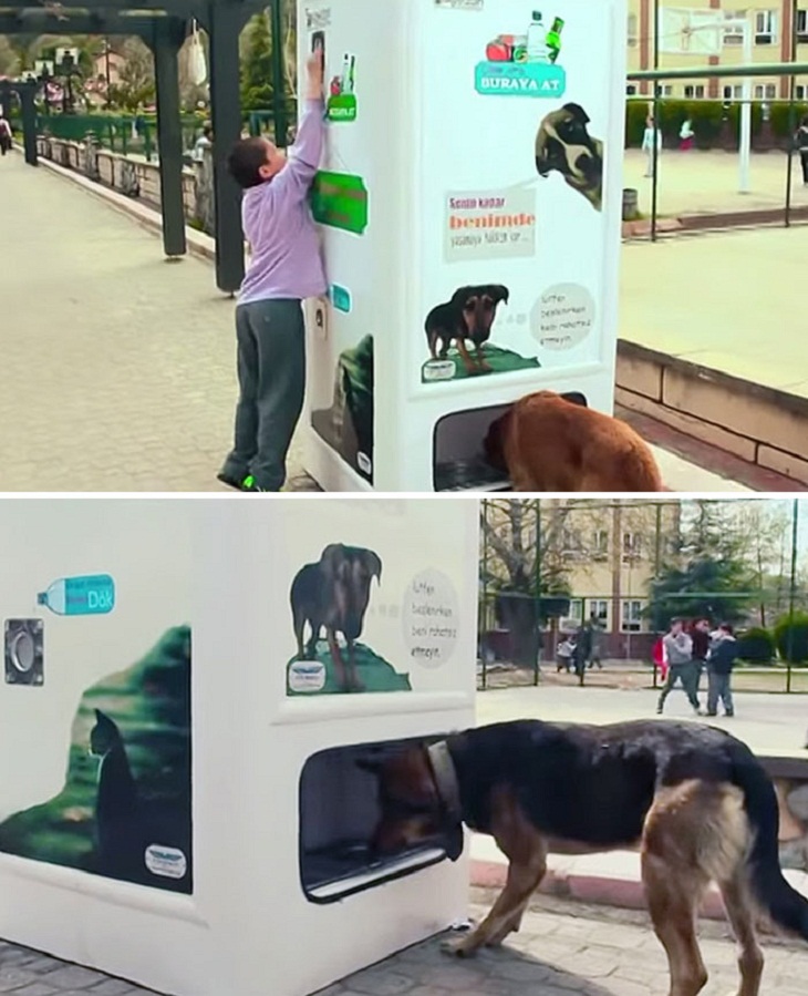 Pet Inventions,  vending machine