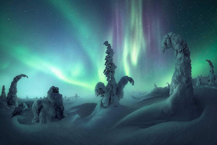 Northern Lights Photographer of the Year 2022, SNOWY LANDSCAPE