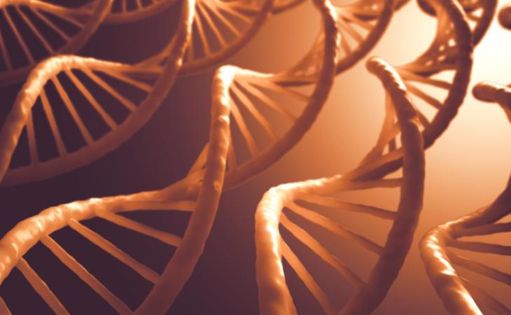 Scientific Discoveries, DNA sequencing technique