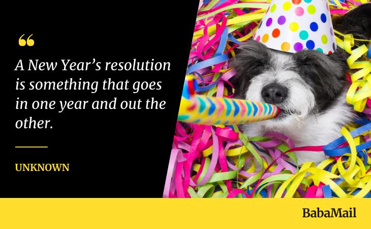 News Year's Quotes, doggy