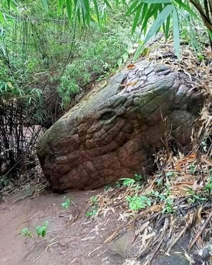 Objects With Faces rock in the forest