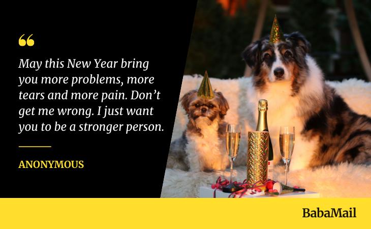 News Year's Quotes, dogs