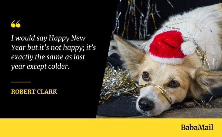 News Year's Quotes, dog