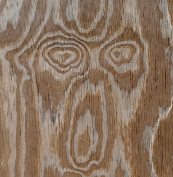 Objects With Faces wood