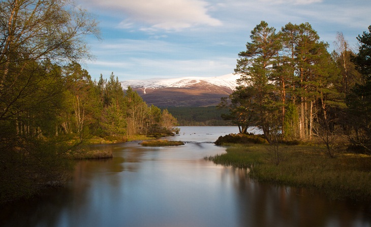 Underrated National Parks, Cairngorms National Park