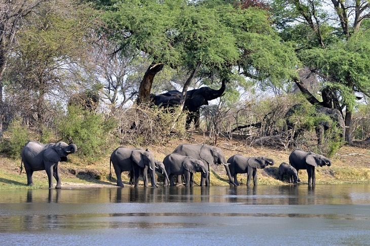 Underrated National Parks, Bwabwata National Park, Africa