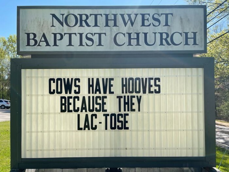 Funny Church Signs cows