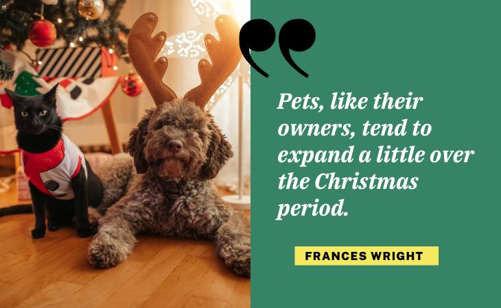 Hilarious Christmas Quotes, pets