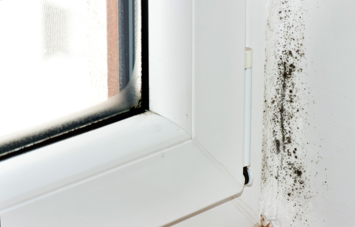 Homeowner’s Winter Checklist mold