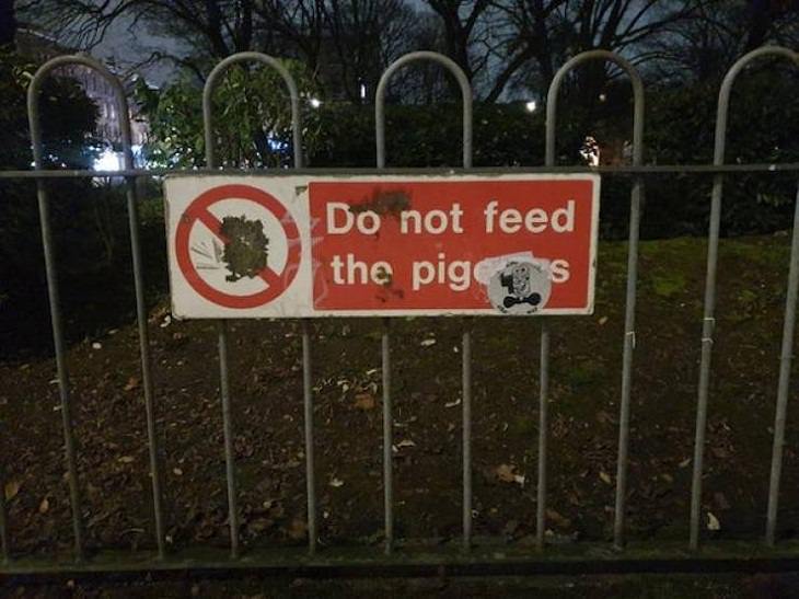 Funny and Clever Signs, pig