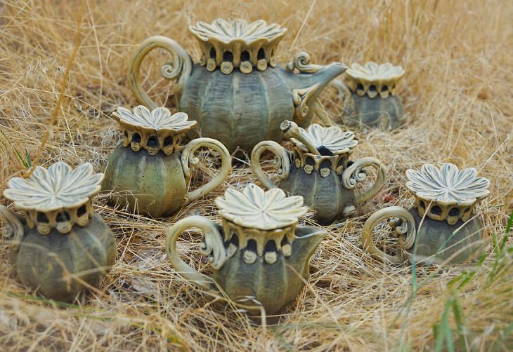Nature-Themed Handmade Ceramics,  poppy seedheads 