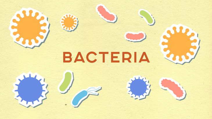 Antibiotics bacteria