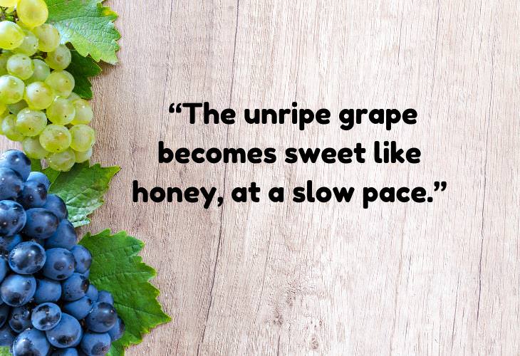 Greek Proverbs, grape