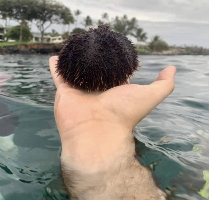 Confusing Pictures man swimming in the ocean