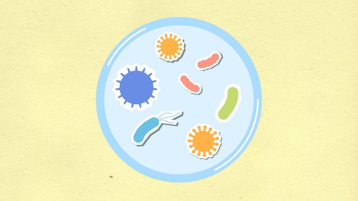 Antibiotics petri dish with germs